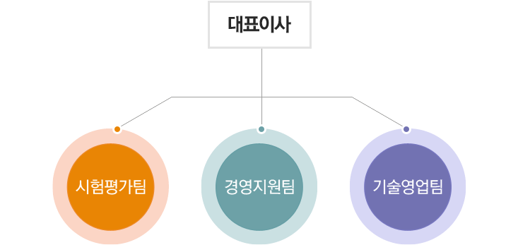 조직현황이미지